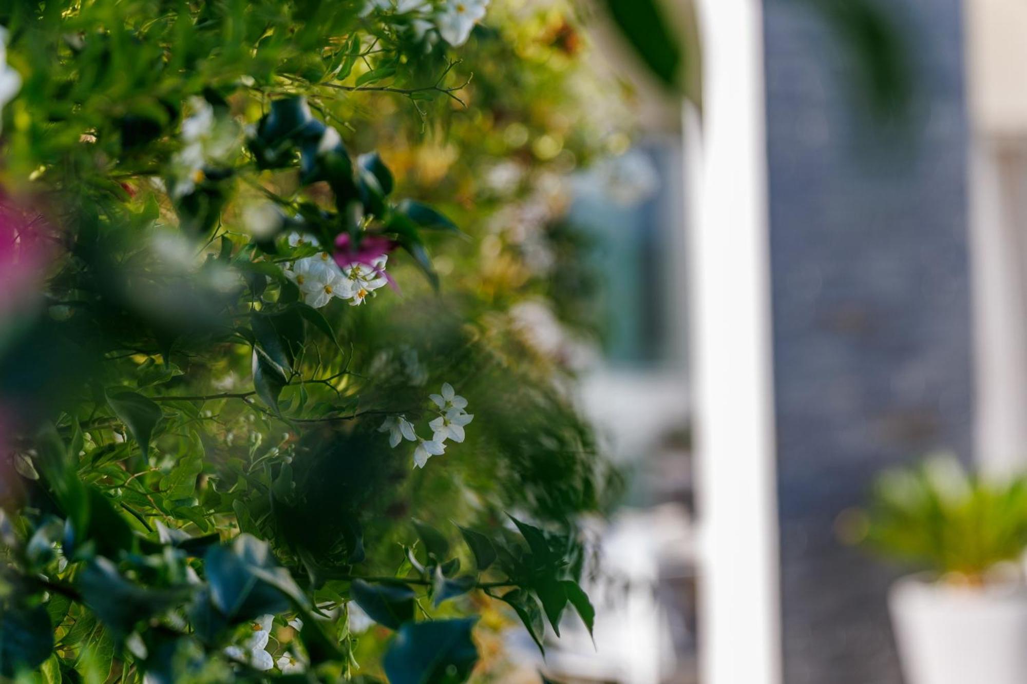 Holiday Home Ventum Sibenik Exterior photo